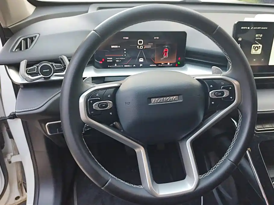 Haval H6 2021 — фото 15