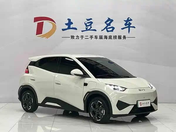 BYD Seagull 2025
