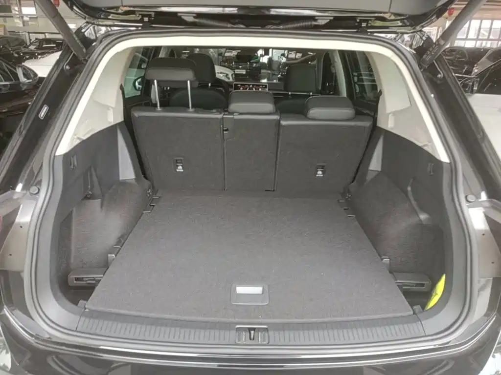 Volkswagen Tiguan L 2023 — фото 19