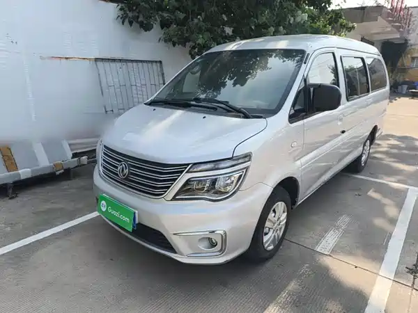 Dongfeng Lingzhi 2020