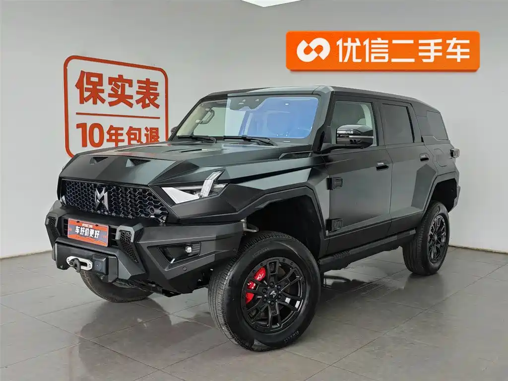 Mengshi 917 2024