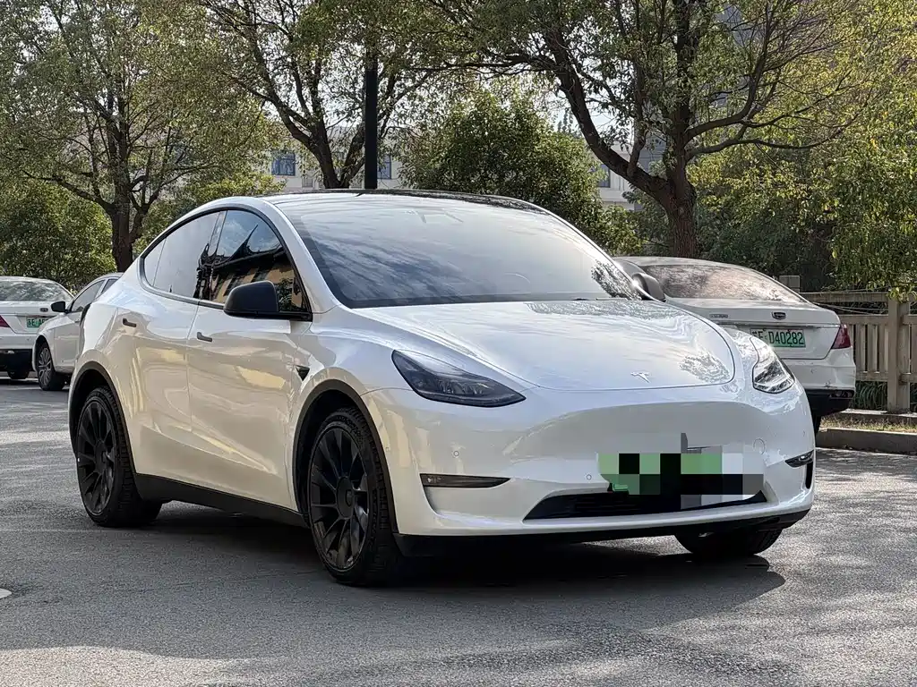 Tesla Model Y 2021 — фото 3