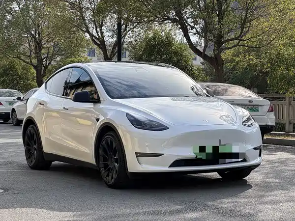 Tesla Model Y 2021