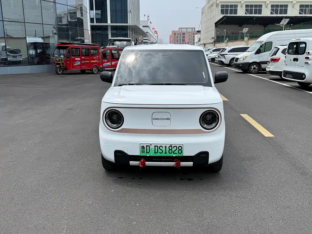 Galaxy Panda 2025