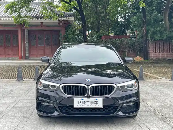 BMW 5 Series 2019