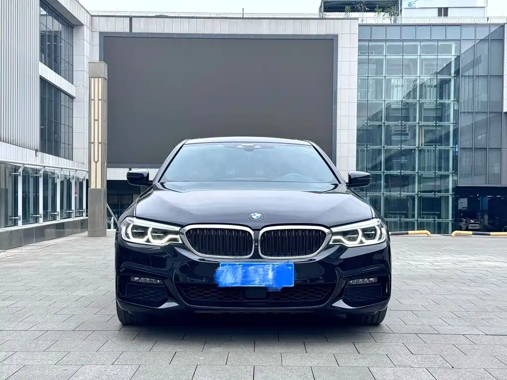 BMW 5 Series 2019