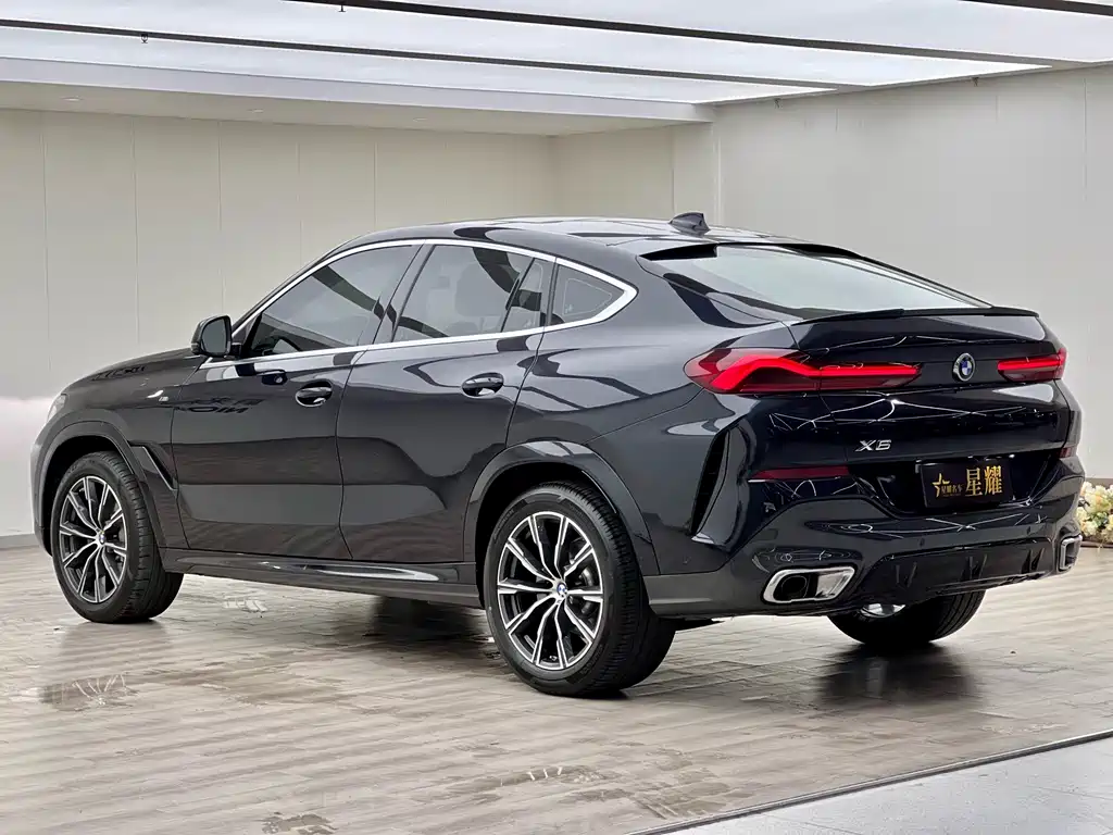 BMW X6 2021 — фото 24