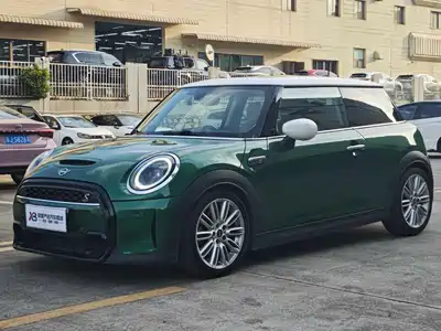 MINI MINI 2021