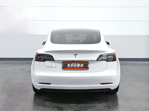 Tesla Model 3 2019
