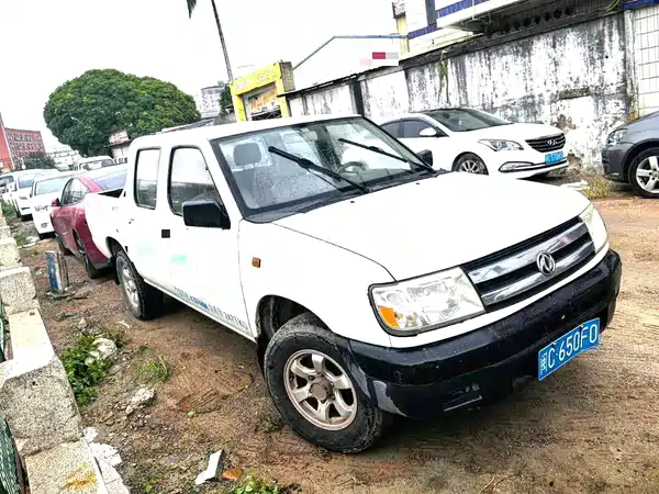 Dongfeng Ruiqi 2013