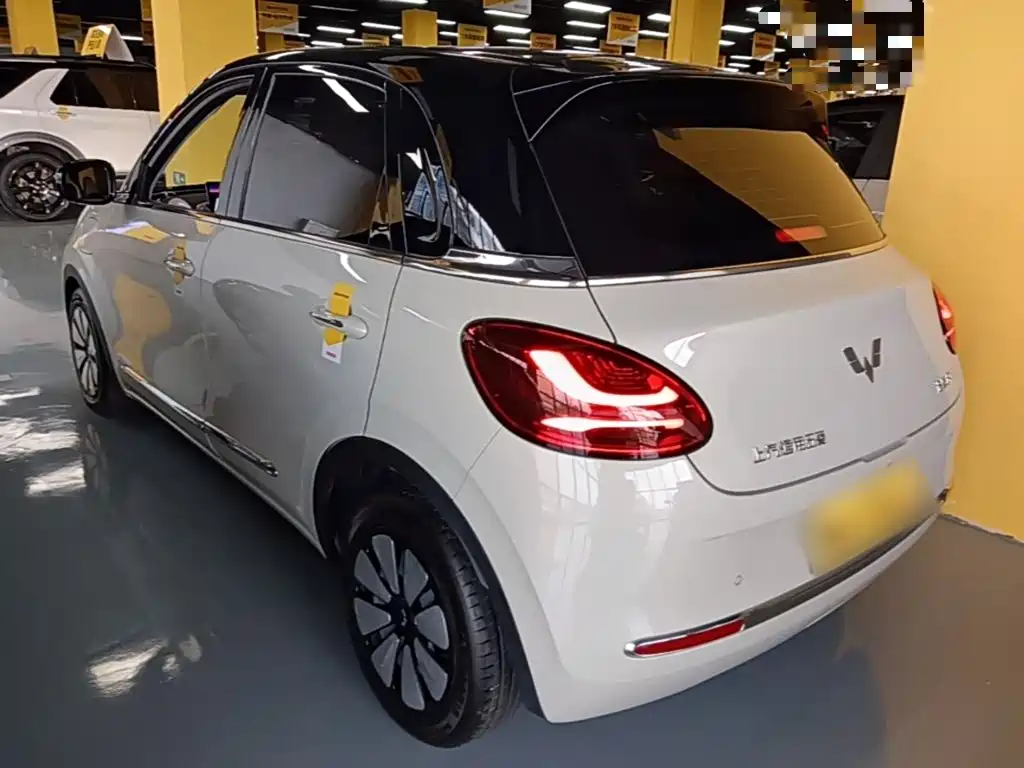 Wuling Bingo 2024
