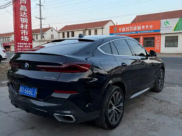 BMW X6 2022