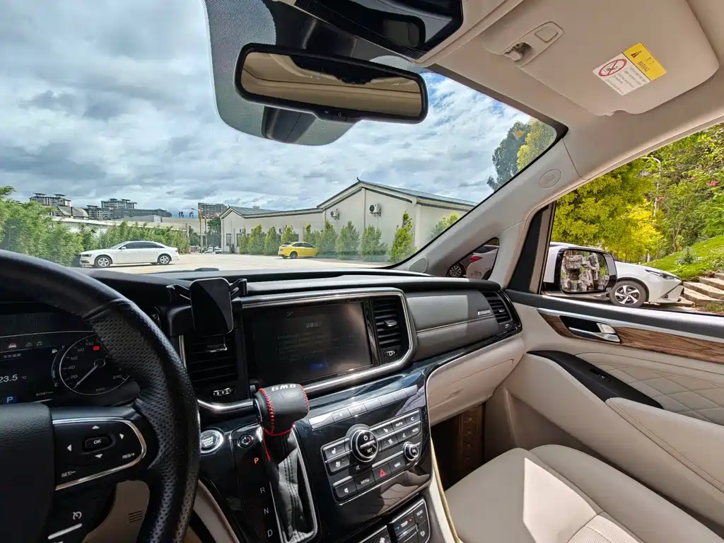 GAC Trumpchi M8 2019 — фото 31