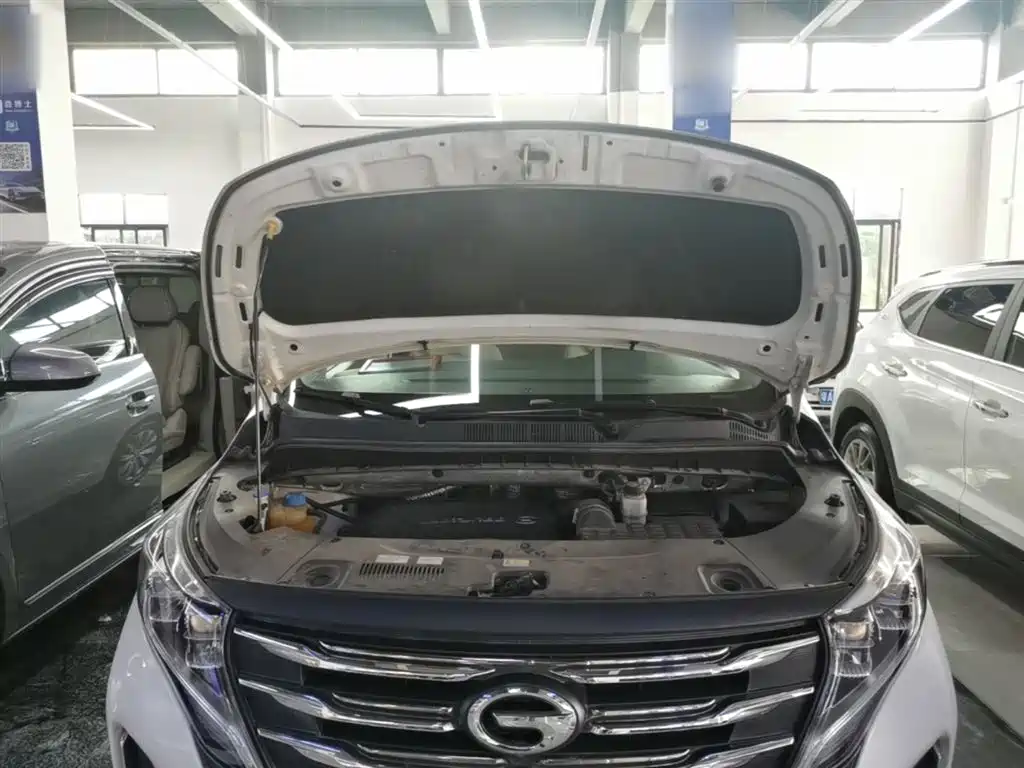 GAC Motor Trumpchi M8 2020 — фото 20