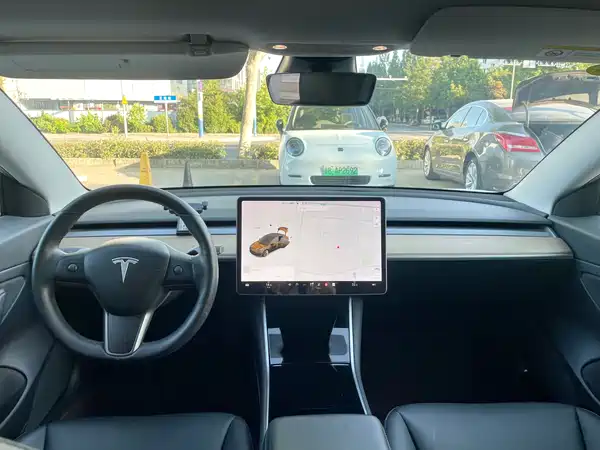 Tesla Model 3 2020