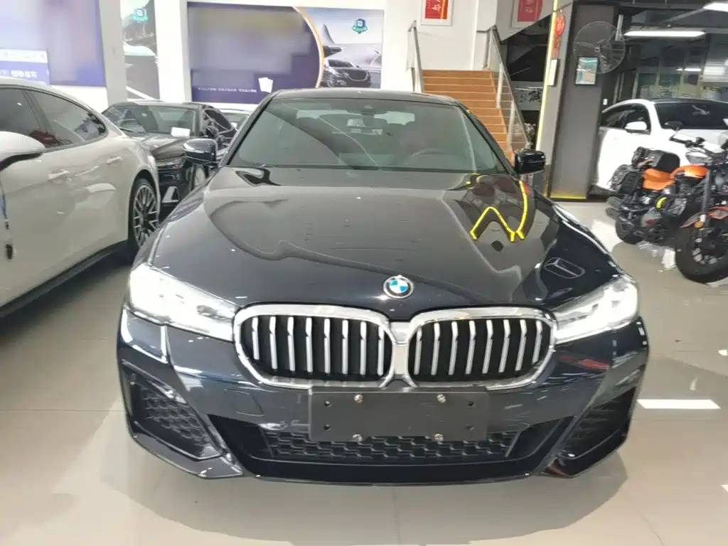 BMW 5 Series New Energy 2021