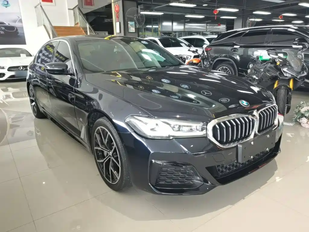 BMW 5 Series New Energy 2021