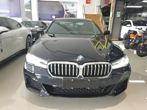 BMW 5 Series New Energy 2021