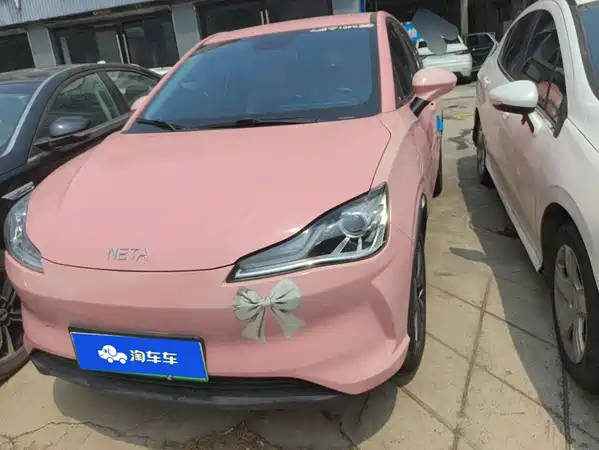 Neta V 2022