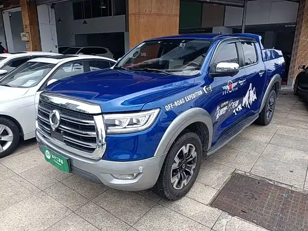 Great Wall Poer 2020