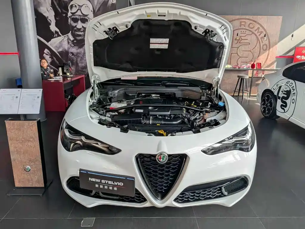 Alfa Romeo Stelvio 2024 — фото 14