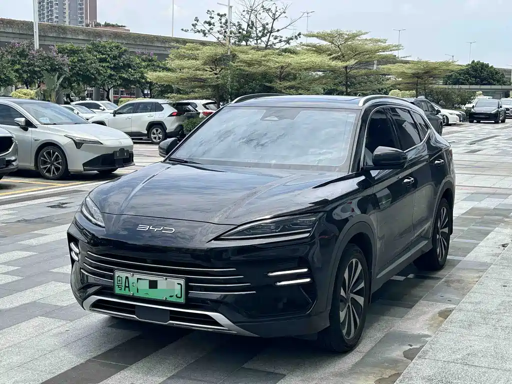 BYD Song PLUS New Energy 2023 — фото 1