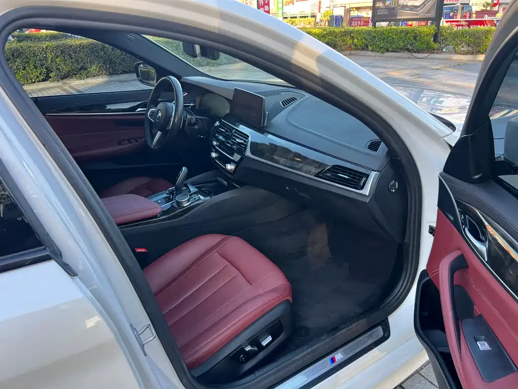 BMW 5 Series 2019 — фото 10