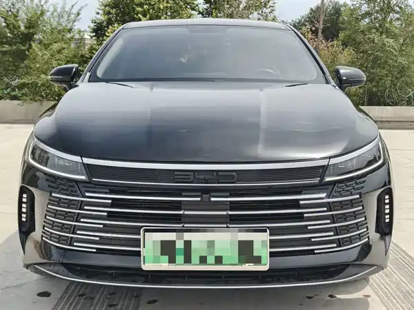 BYD Destroyer 05 2024