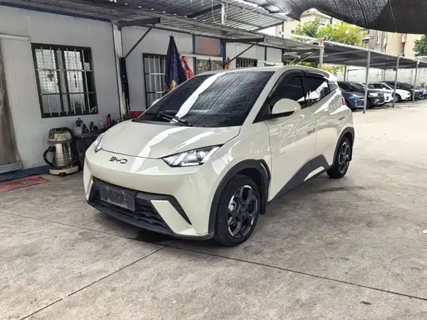 BYD Seagull 2024