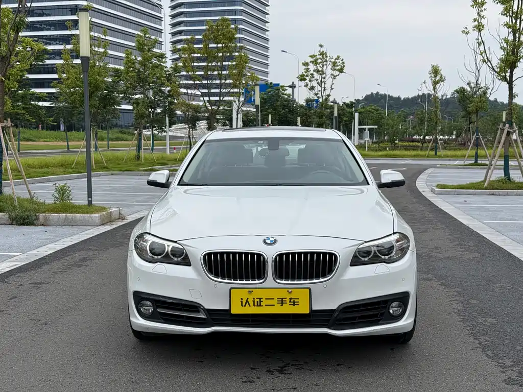 BMW 5 Series 2014 — фото 2