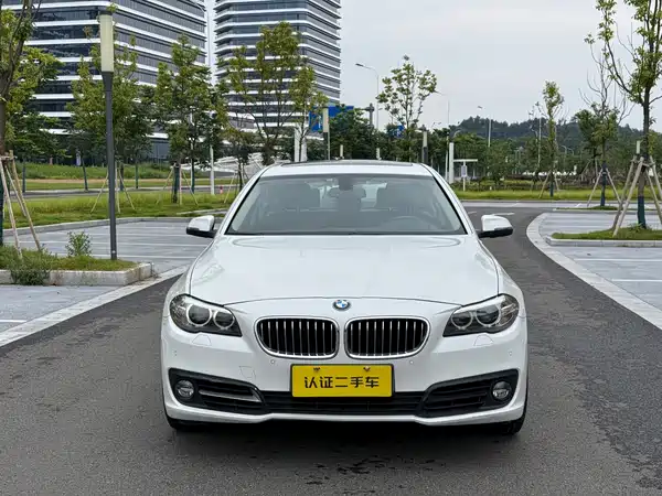 BMW 5 Series 2014