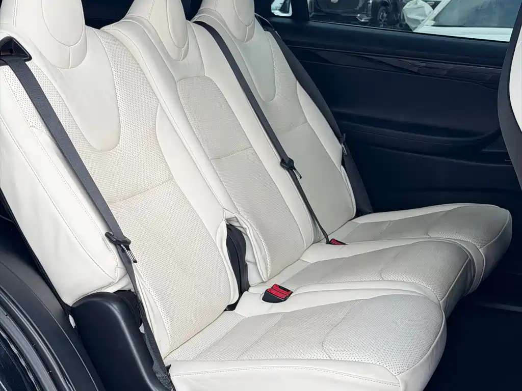 Tesla Model X 2019 — фото 16