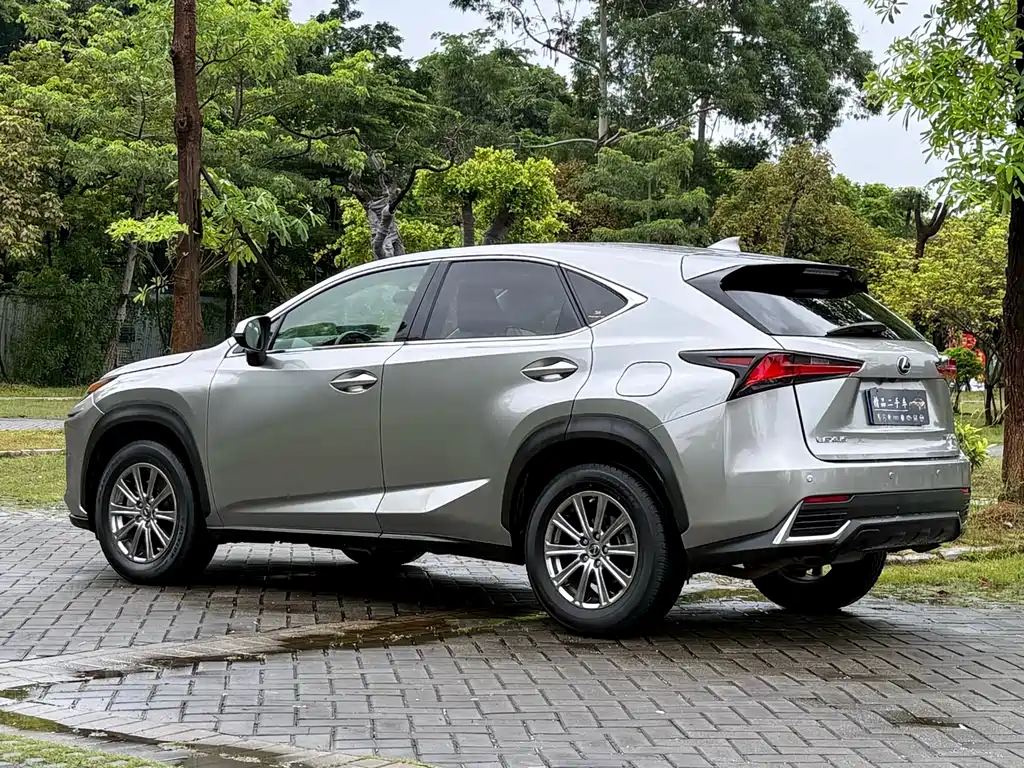 Lexus NX 2020 — фото 17