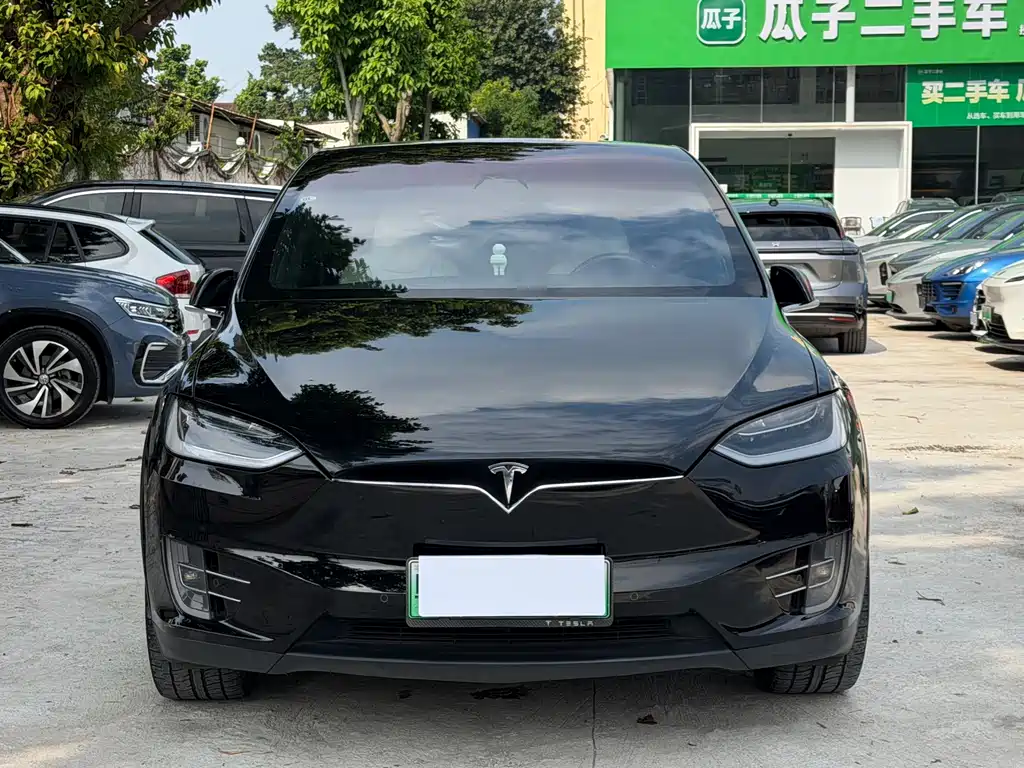 Tesla Model X 2019 — фото 5