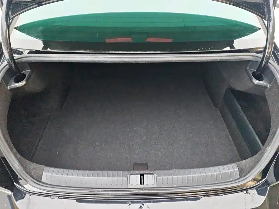 Volkswagen Magotan 2020
