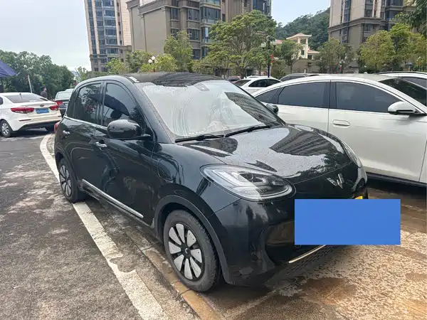Wuling Bingo 2023