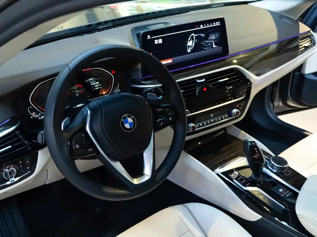 BMW 5 Series 2018 — фото 8