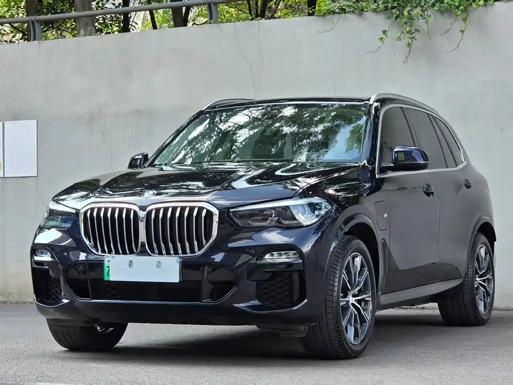 BMW X5 New Energy 2020 — фото 45
