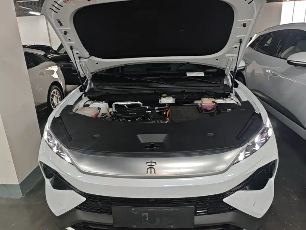 BYD Pro New Energy 2025 — фото 20