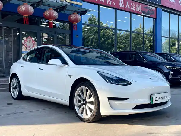 Tesla Model 3 2020