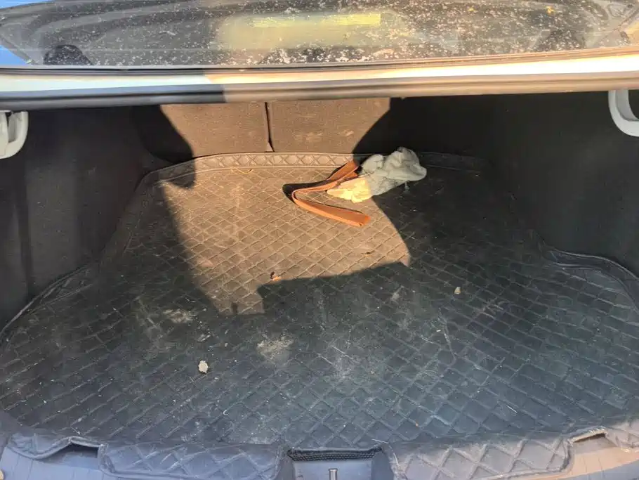 Volkswagen Sagitar 2020