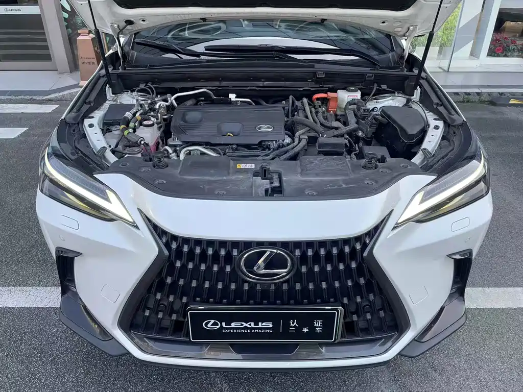 Lexus NX New Energy 2022 — фото 9