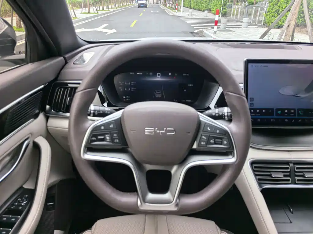 BYD Song PLUS New Energy 2024 — фото 15