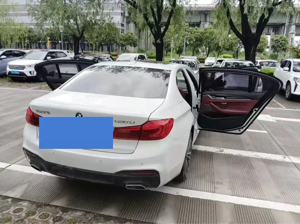 BMW 5 Series 2019