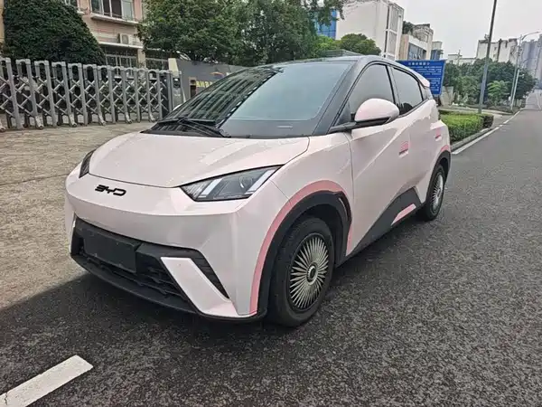 BYD Seagull 2024