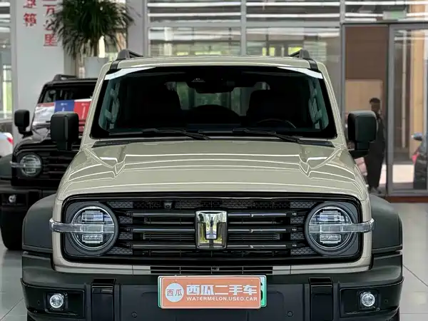 Tank 300 New Energy 2025