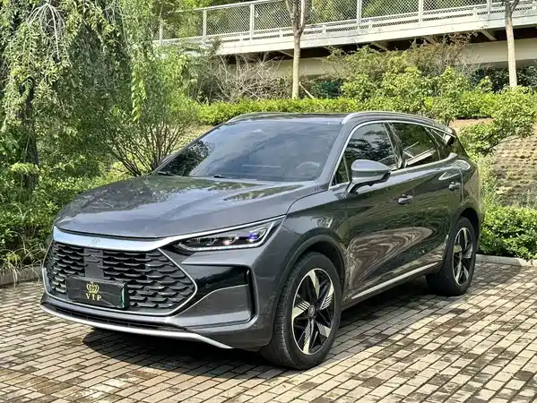 BYD Tang New Energy 2025