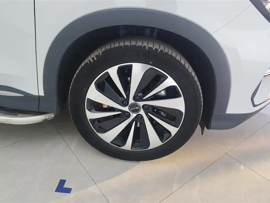 BYD PLUS New Energy 2023 — фото 6