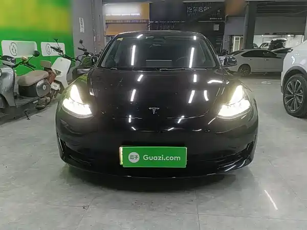 Tesla Model 3 2021
