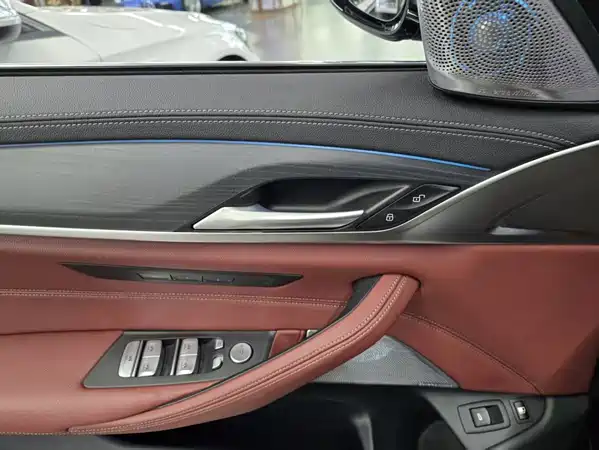 BMW 5 Series New Energy 2021